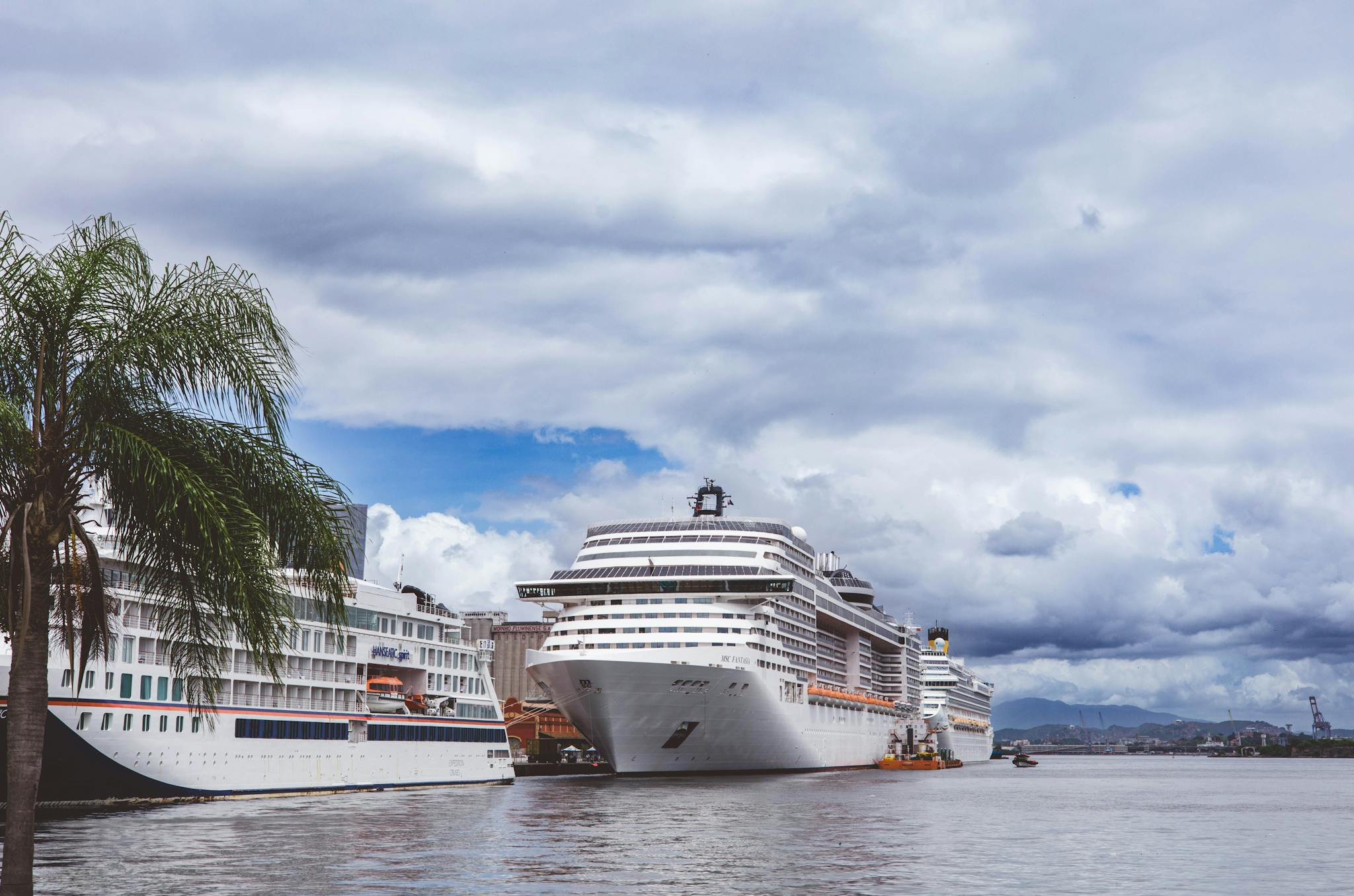Cruise ships docked at a tropical port under cloudy skies, with lush palm trees nearby.
