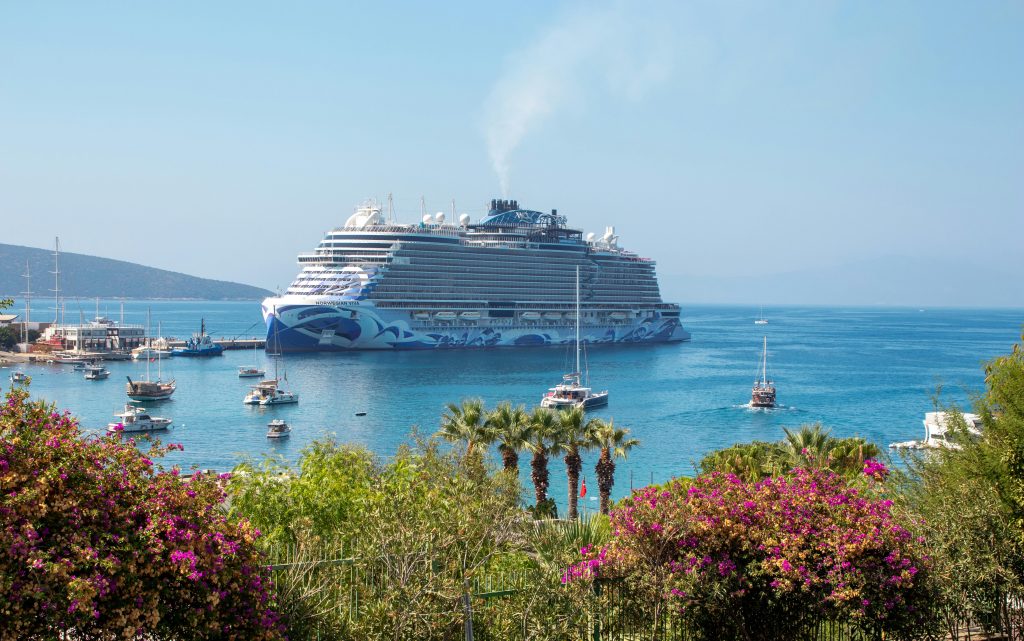 The contemporary Norwegian Cruise Line ship, Norwegian Viva, anchored in a bright blue bay near a harbor, framed by tropical palm trees and vibrant purple bougainvillea flowers in the foreground.