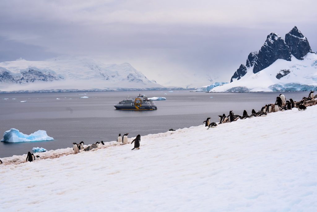 A small Quark Expeditions polar cruise ship anchored in a serene Antarctic bay with icebergs, featuring a large colony of penguins gathering on the snow-covered shoreline in the foreground beneath dramatic, jagged mountains.